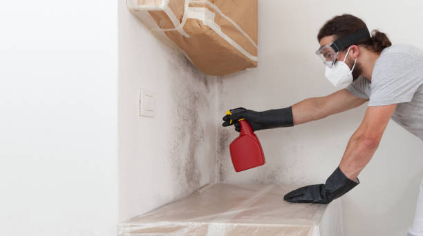 Professional Crawl Space Mold Remediation technician working in Leonia, NJ