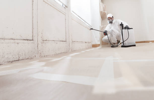 24/7 Emergency Crawl Space Mold Remediation experts in Leonia, NJ