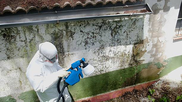 Top rated local Crawl Space Mold Remediation specialists in Leonia, NJ